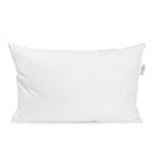 Pillowtex Conformity Pillow | Soft Support
