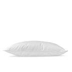 Pillowtex Conformity Pillow | Soft Support