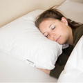 Pillowtex Down Alternative Pillow | Mittelklasse