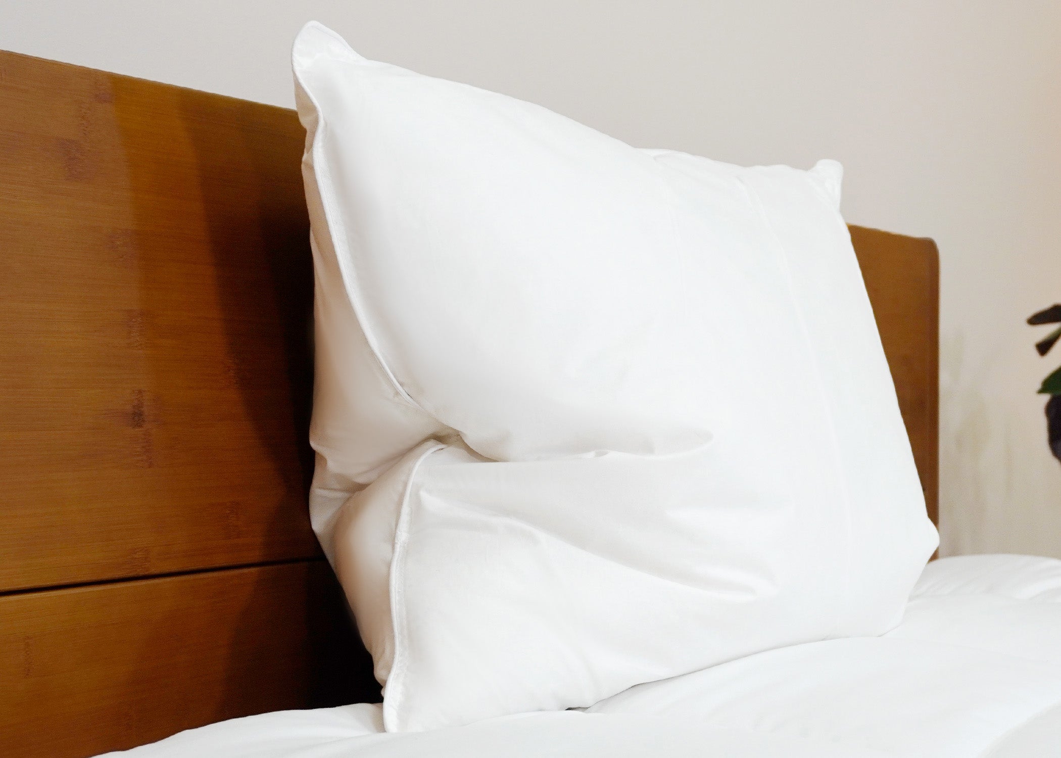 Pillowtex Weiße Entendaunen & Feder Kissen | 75% Feder / 25% nach unten