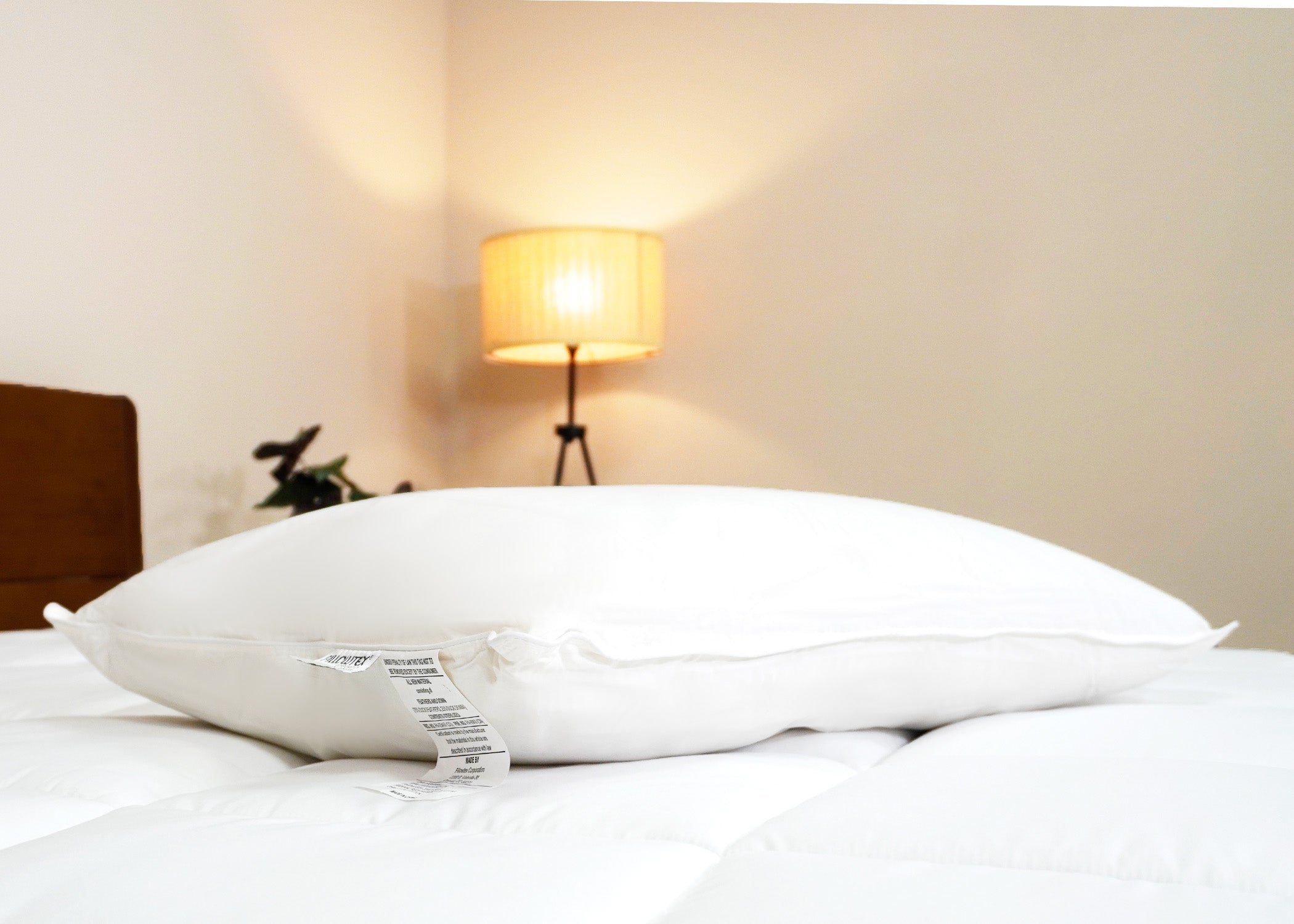Pillowtex Weiße Entendaunen & Feder Kissen | 75% Feder / 25% nach unten