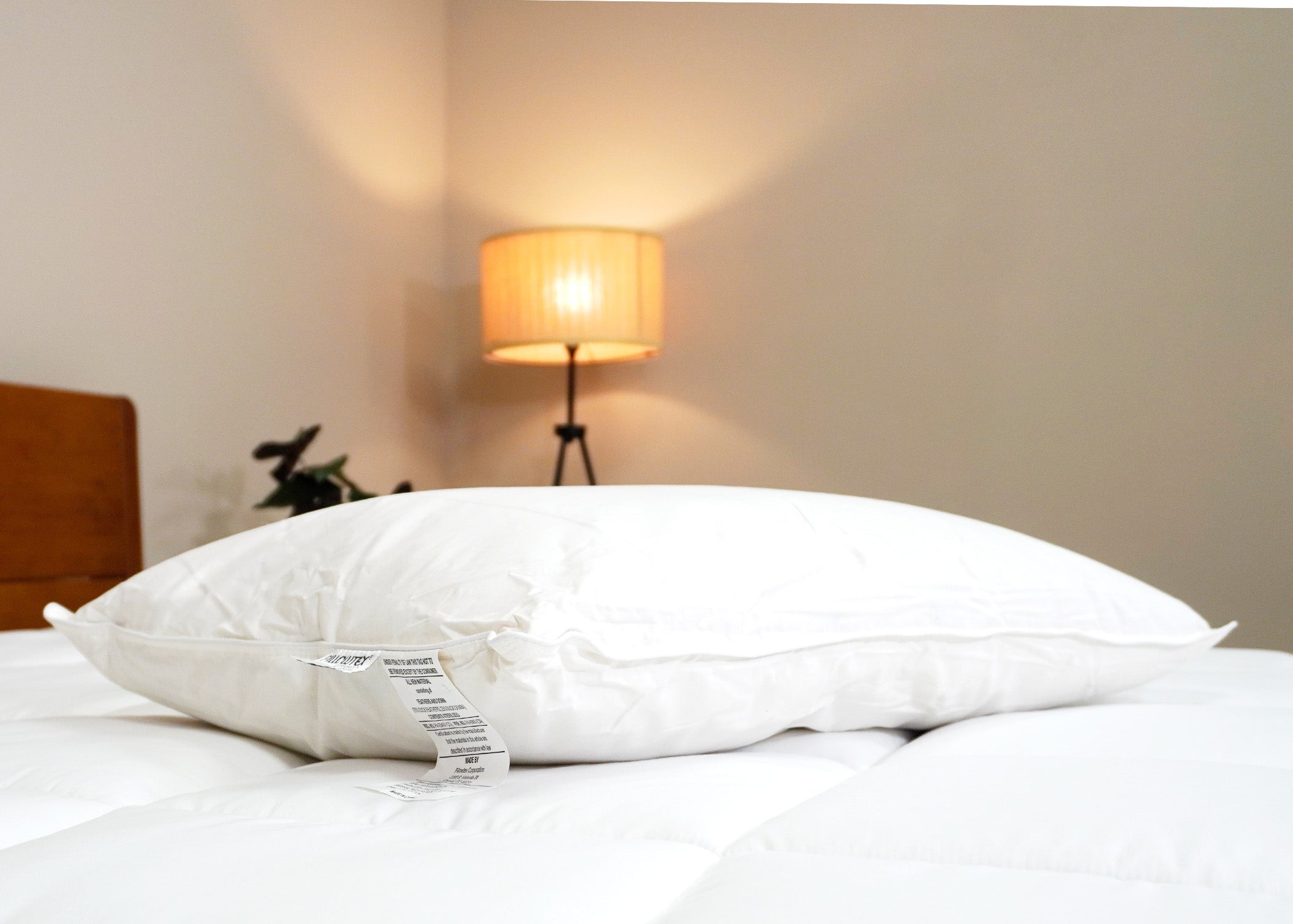 Pillowtex Weiße Entendaunen & Feder Kissen | 75% Feder / 25% nach unten