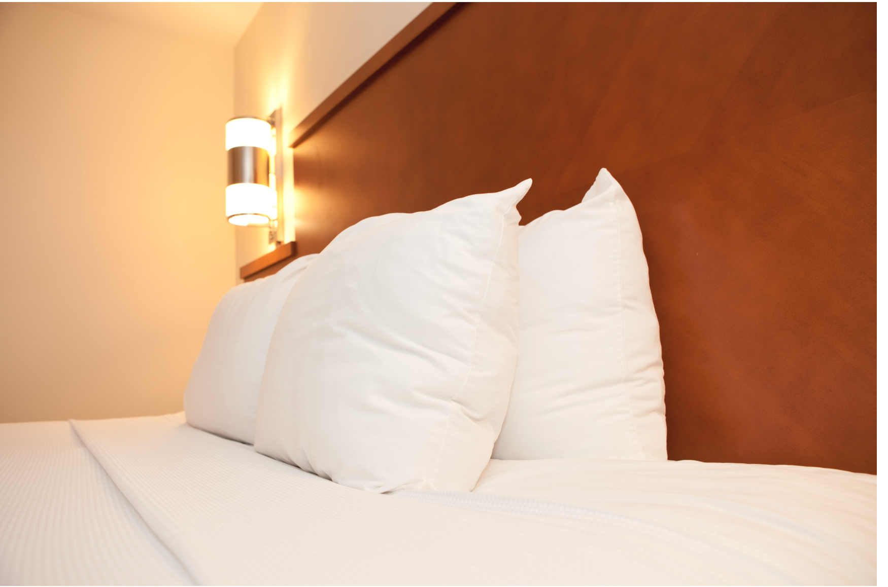 Extra Plump DuPont Polyester Pillow von The Pillow Factory | High Loft
