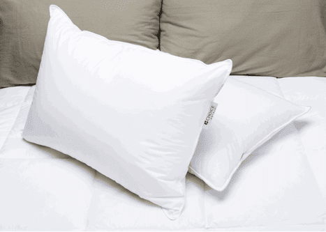 Blau Label Firm Pillow | Ausgestellt bei Many Choice® Hotel Brands