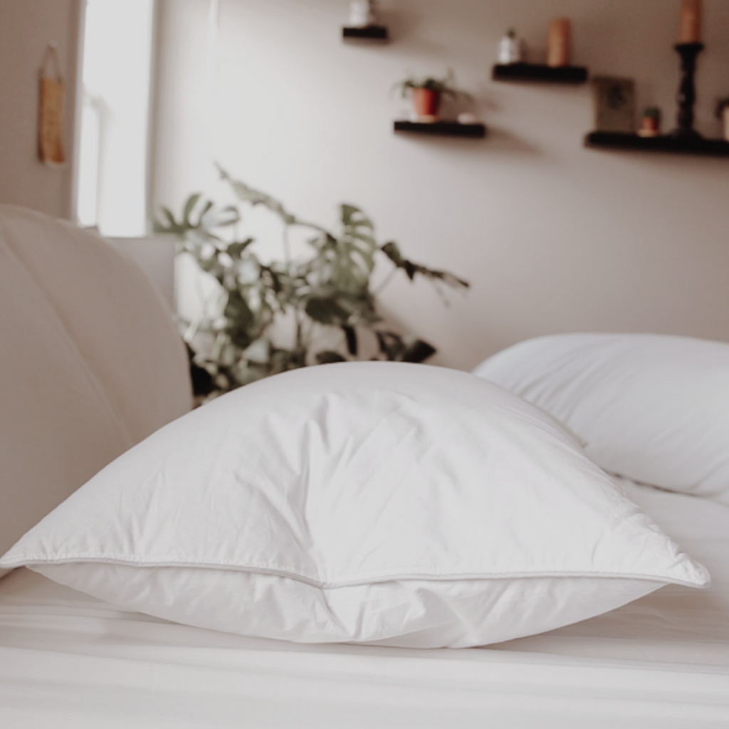 Down Dreams Classic Firm Pillow, früher auch Classic