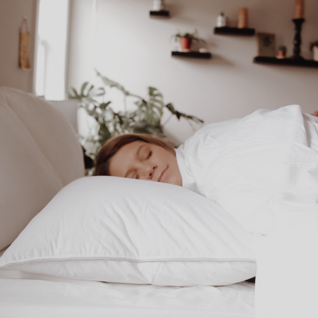 Down Dreams Classic Firm Pillow, früher auch Classic