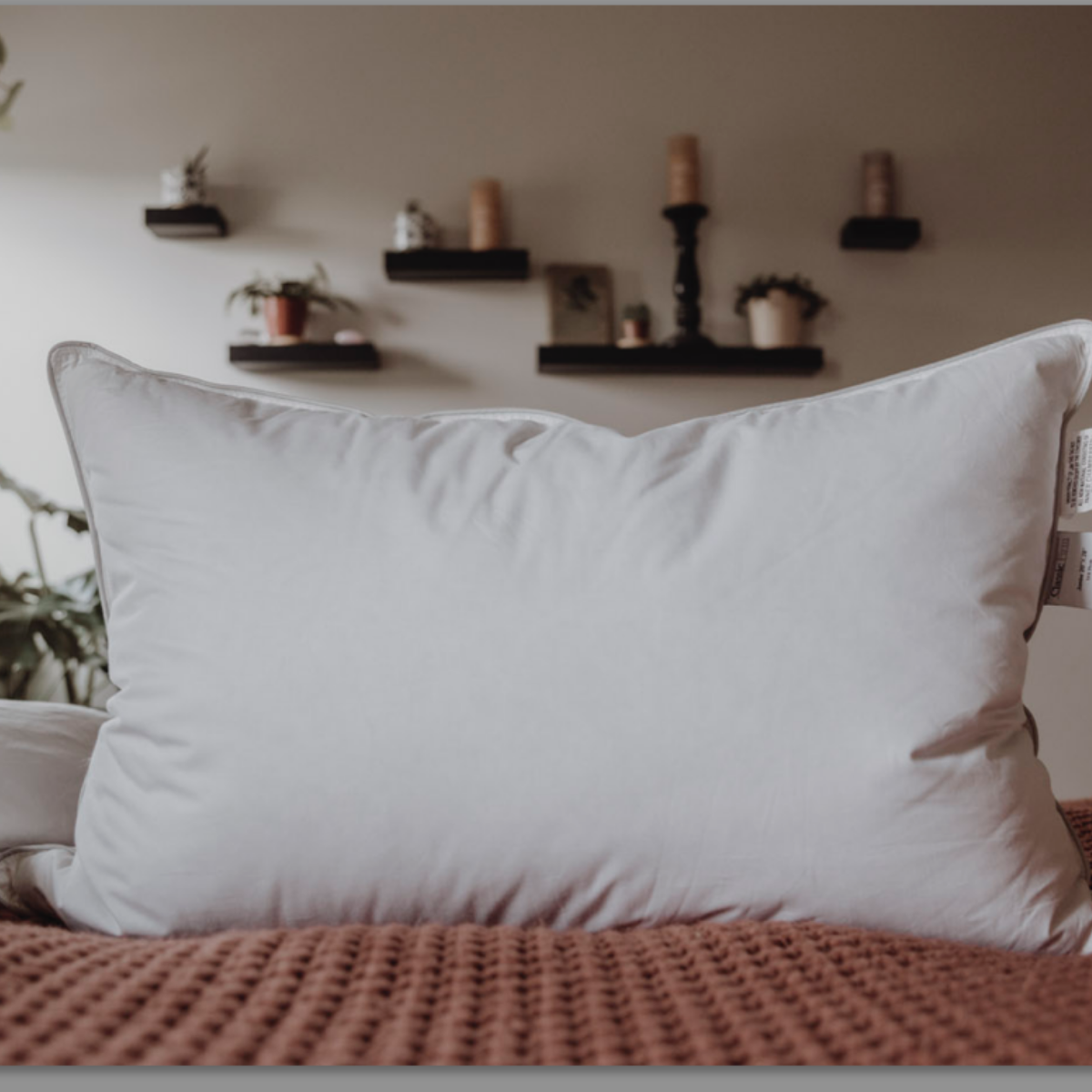 Down Dreams Classic Firm Pillow, früher auch Classic
