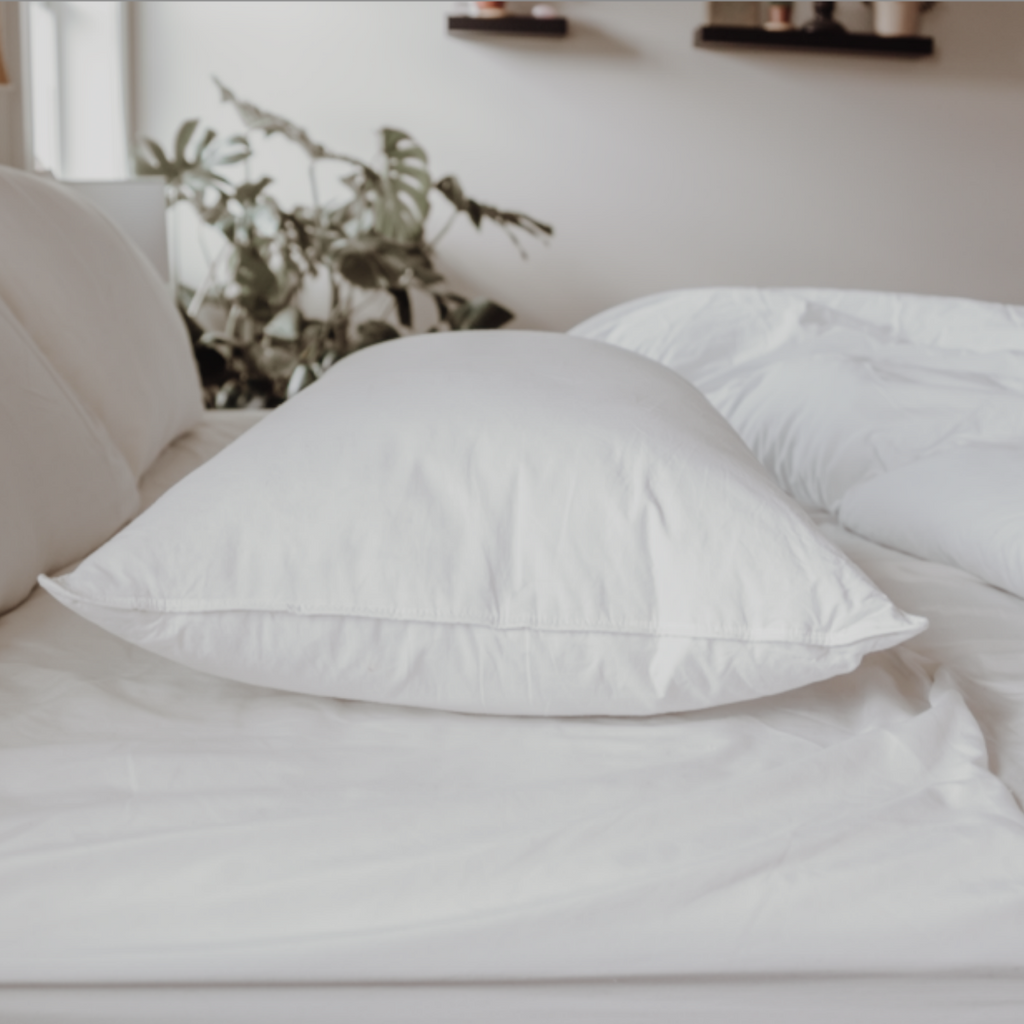 Down Dreams Classic Soft Pillow, in vielen Hotels vorgestellt