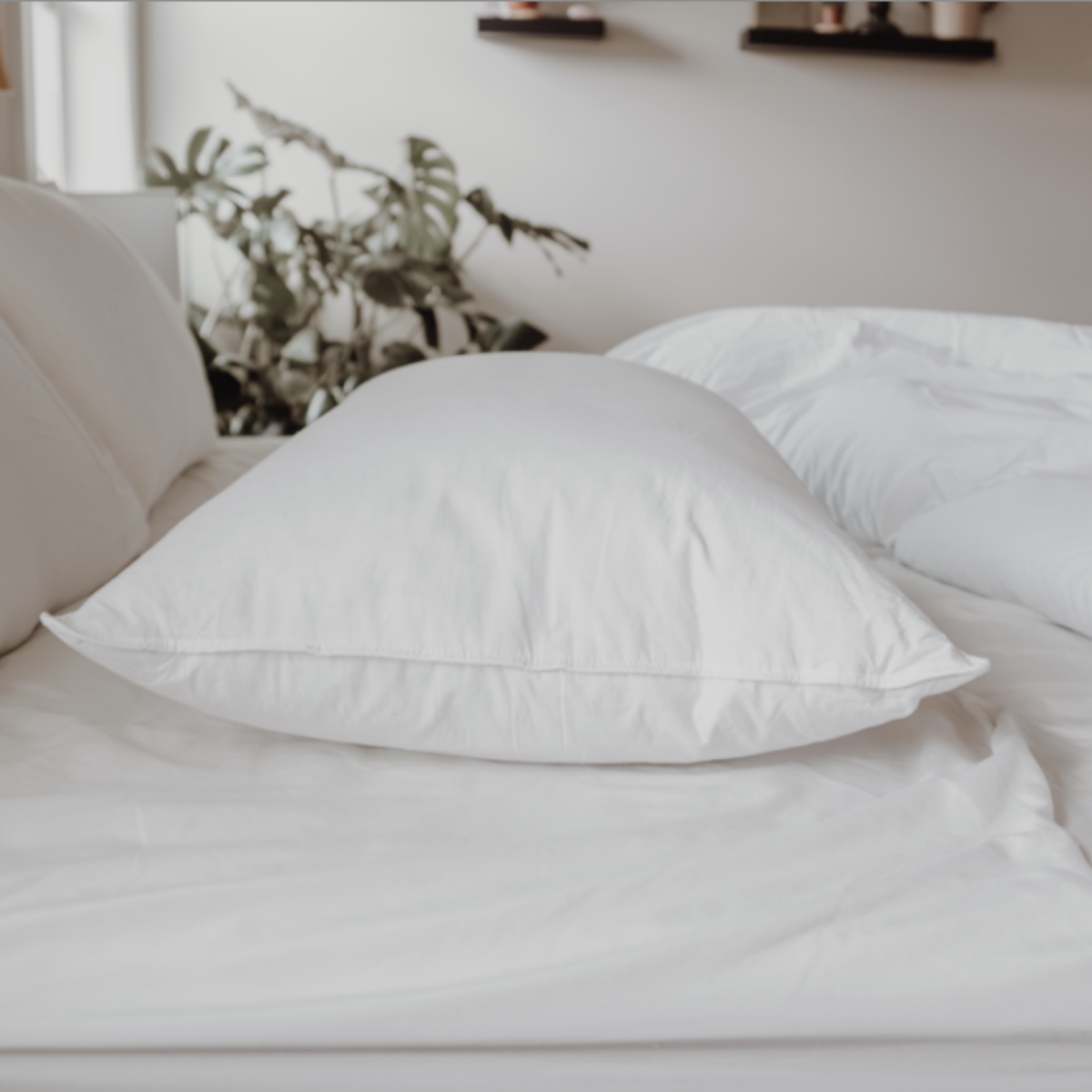 Down Dreams Classic Soft Pillow, in vielen Hotels vorgestellt