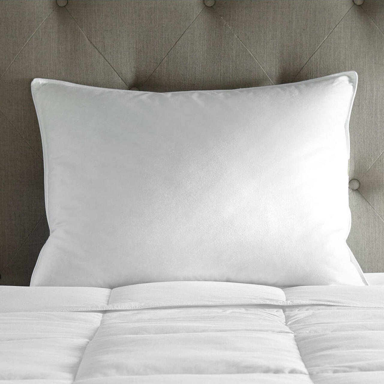 Cloud Nine Komfort 50% Feder 50% Polyester Hotel Kissen