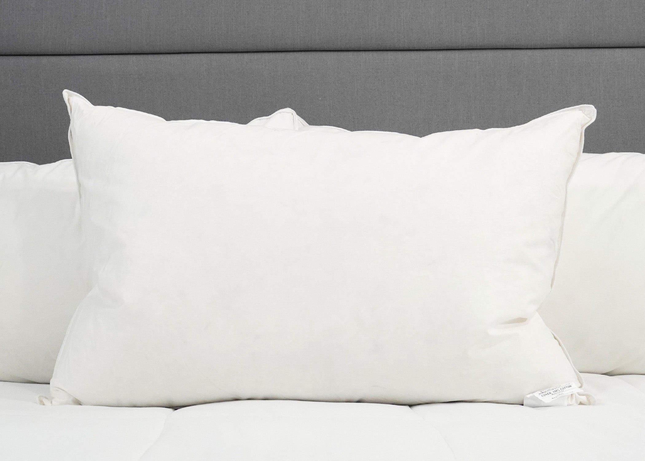 Down usw. 25% Weiß Goose Down / 75% Weiß Goose Federn Pillow