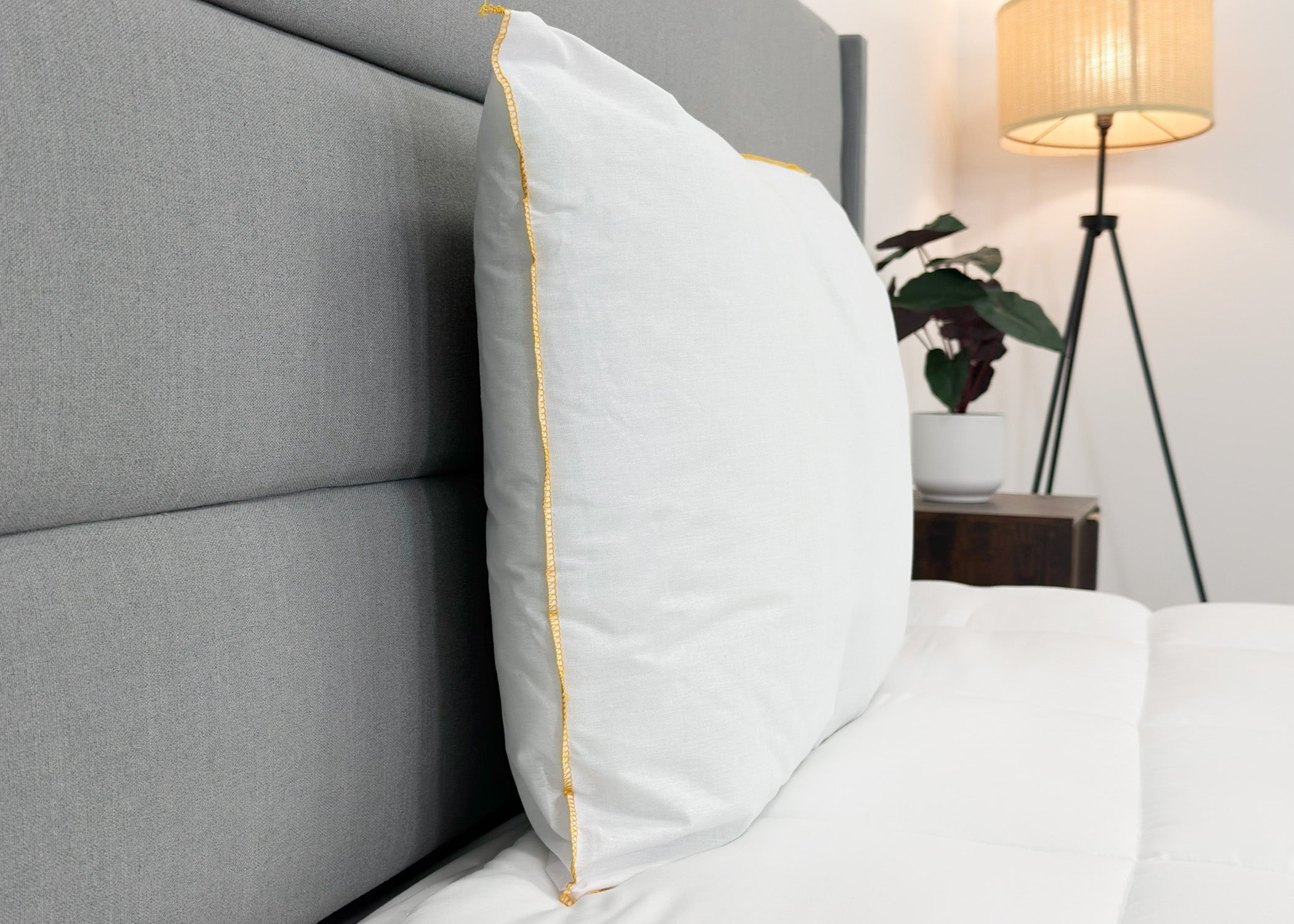 JS Fiber Super Gold Choice Kissen | Schwergewicht