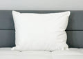 Down Etc. Fairfax Firm Polyester Pillow