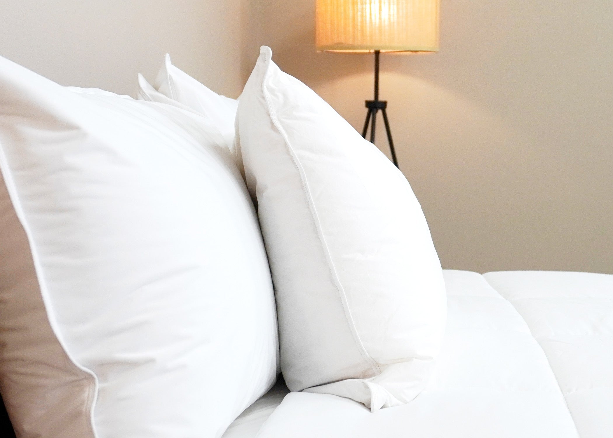 Pillowtex Kyoto Pillow - Half Buckwheat Half Polyester Pillow - Japanischer Stil Pillow