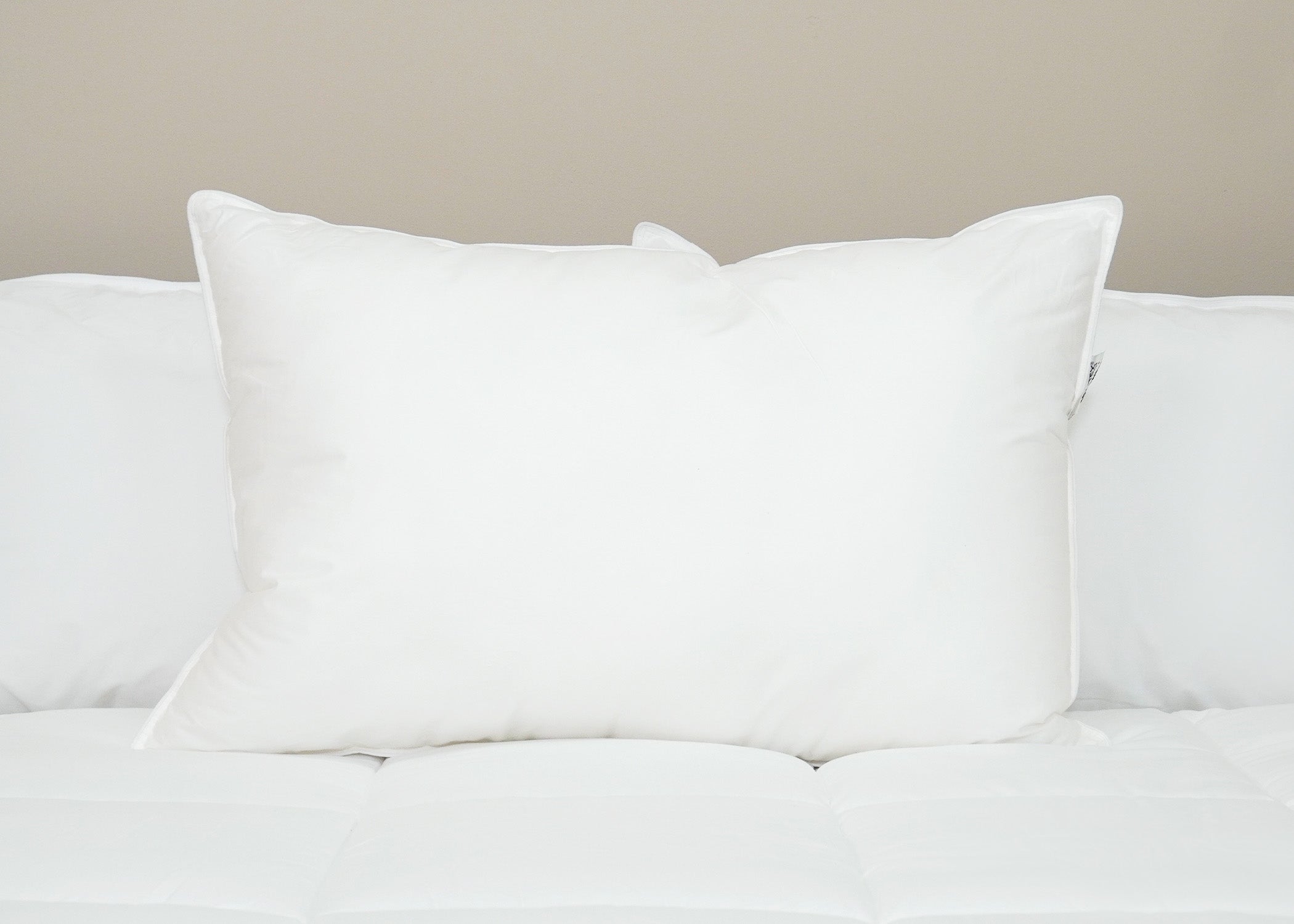 Pillowtex Premium Polyester Pillow | Unternehmen