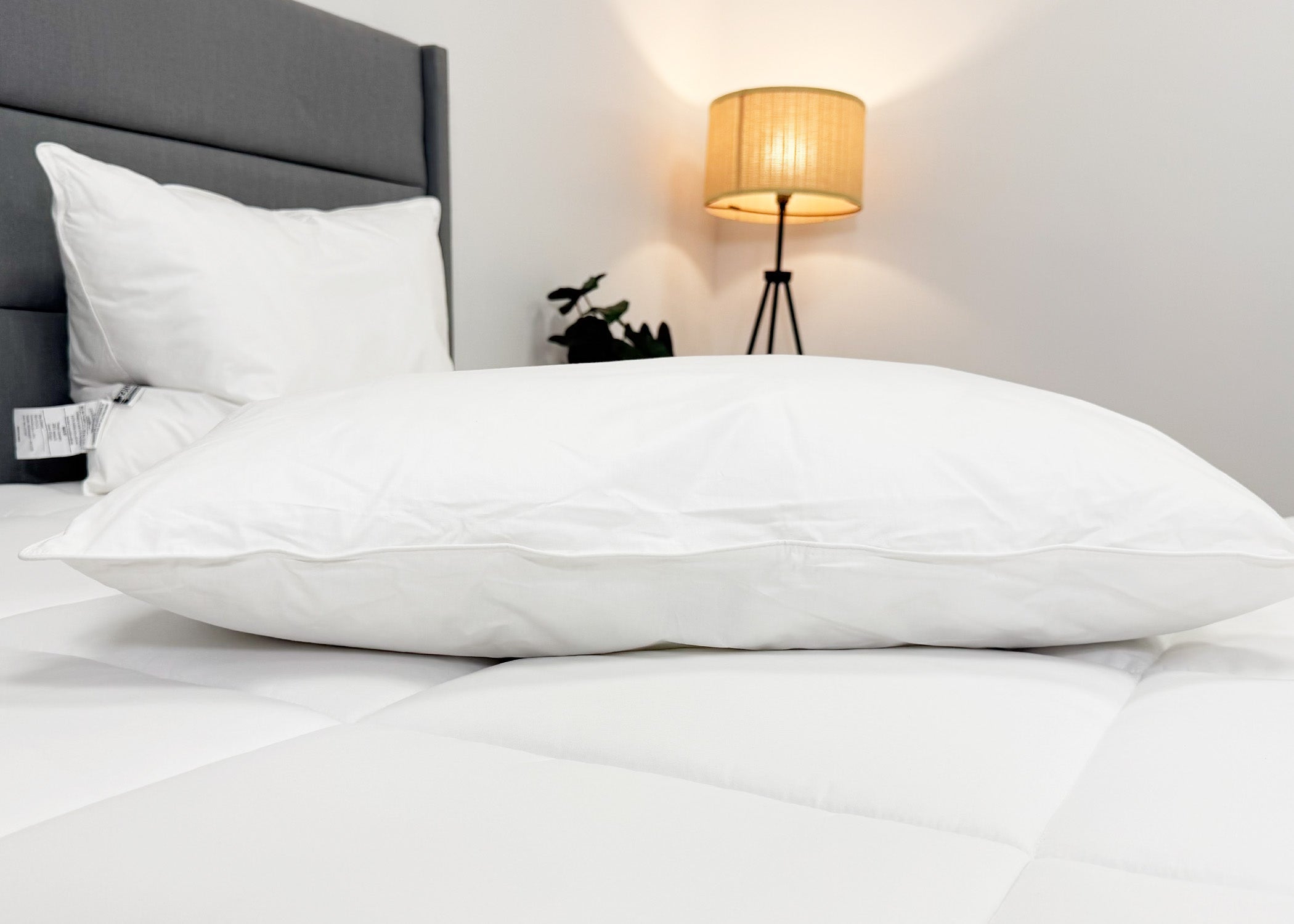 Pillowtex Conformity Pillow | Soft Support