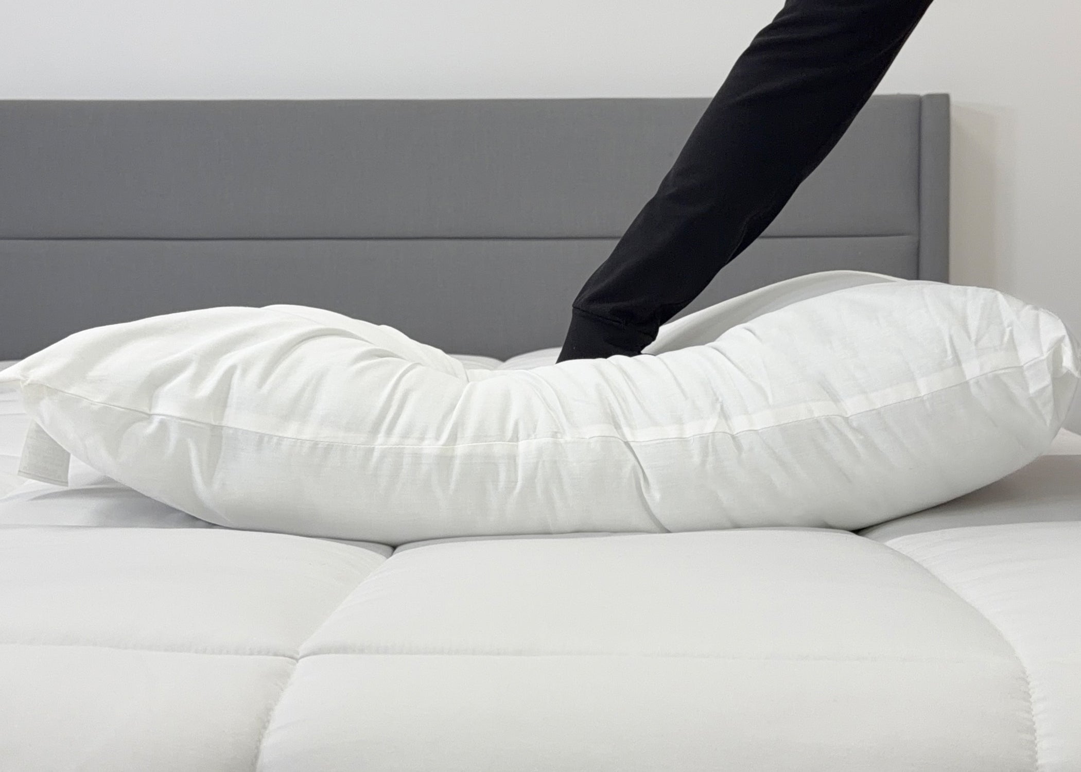 Envirosleep Gold Plus Kissen | Feste Polyesterfaserfüllung