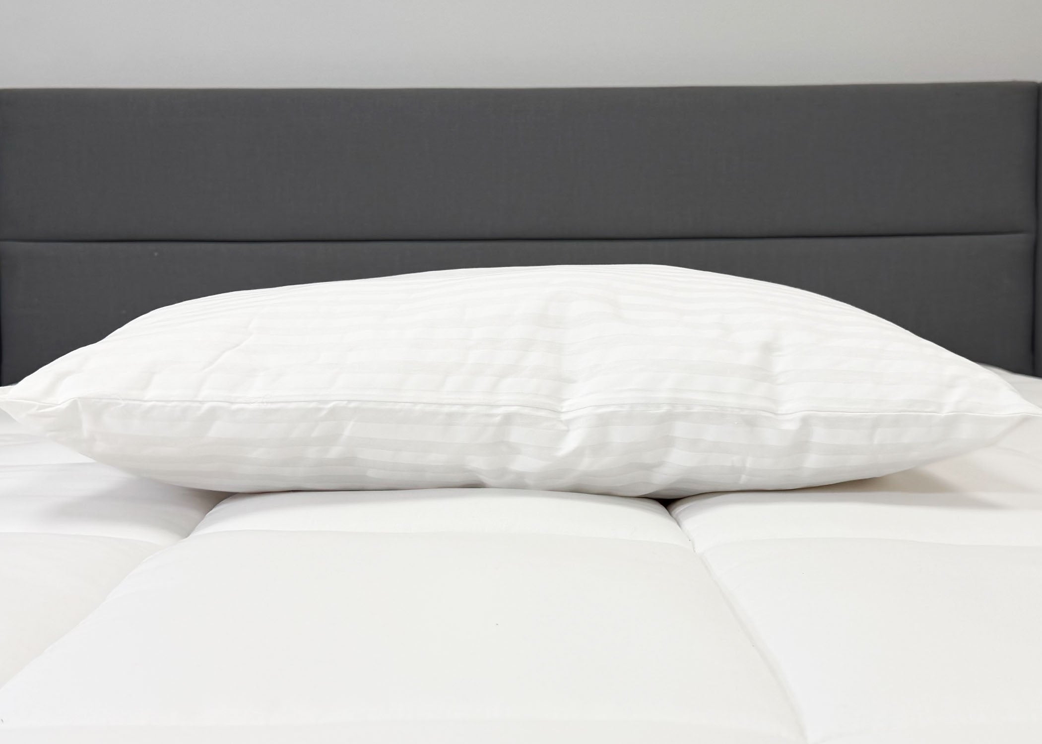 Pillow Factory Comforel Pillow, ausgestellt in Sheraton Hotels