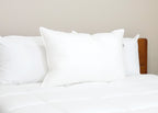 Pillowtex Premium Polyester Pillow | Unternehmen