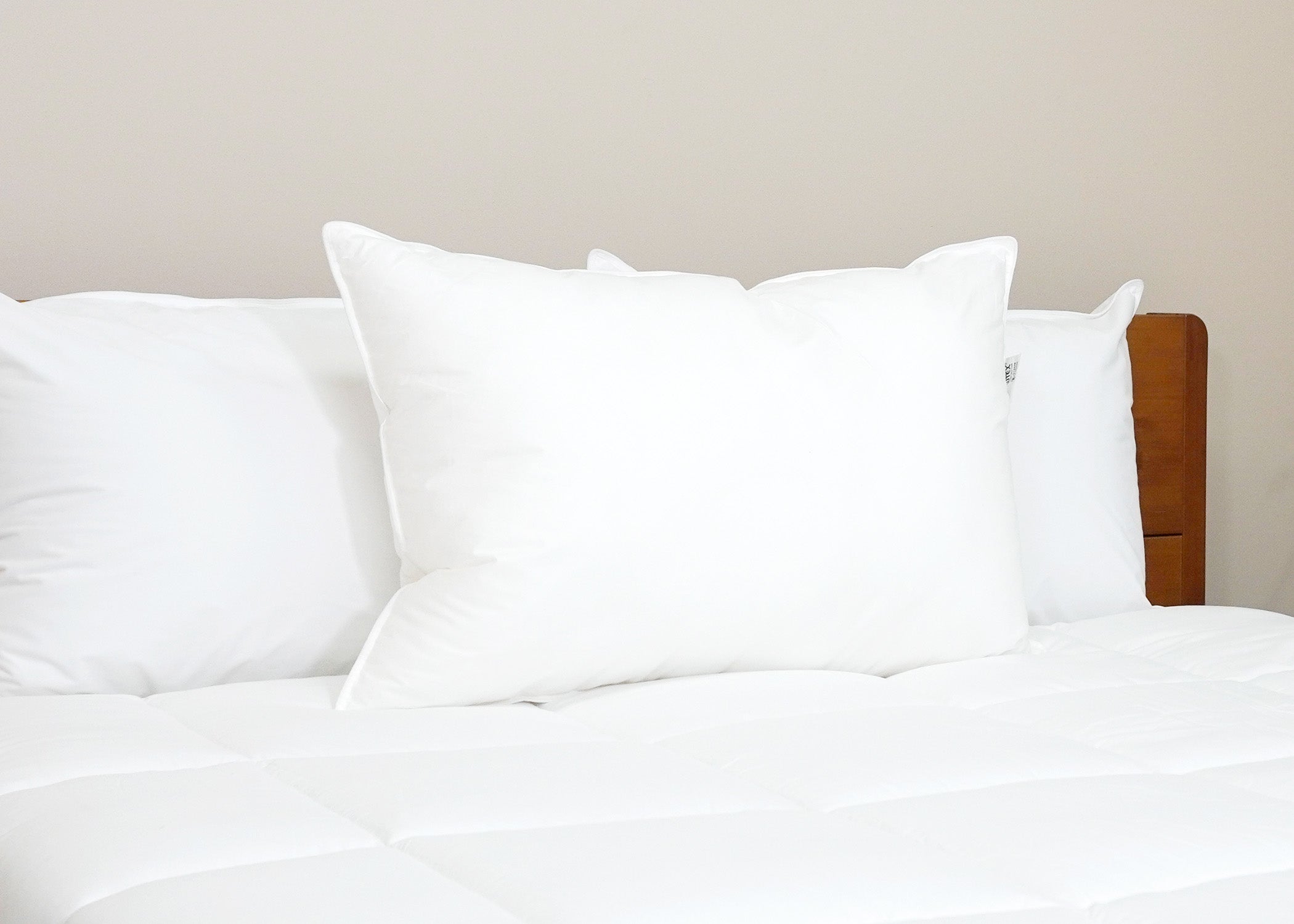 Pillowtex Premium Polyester Pillow | Unternehmen