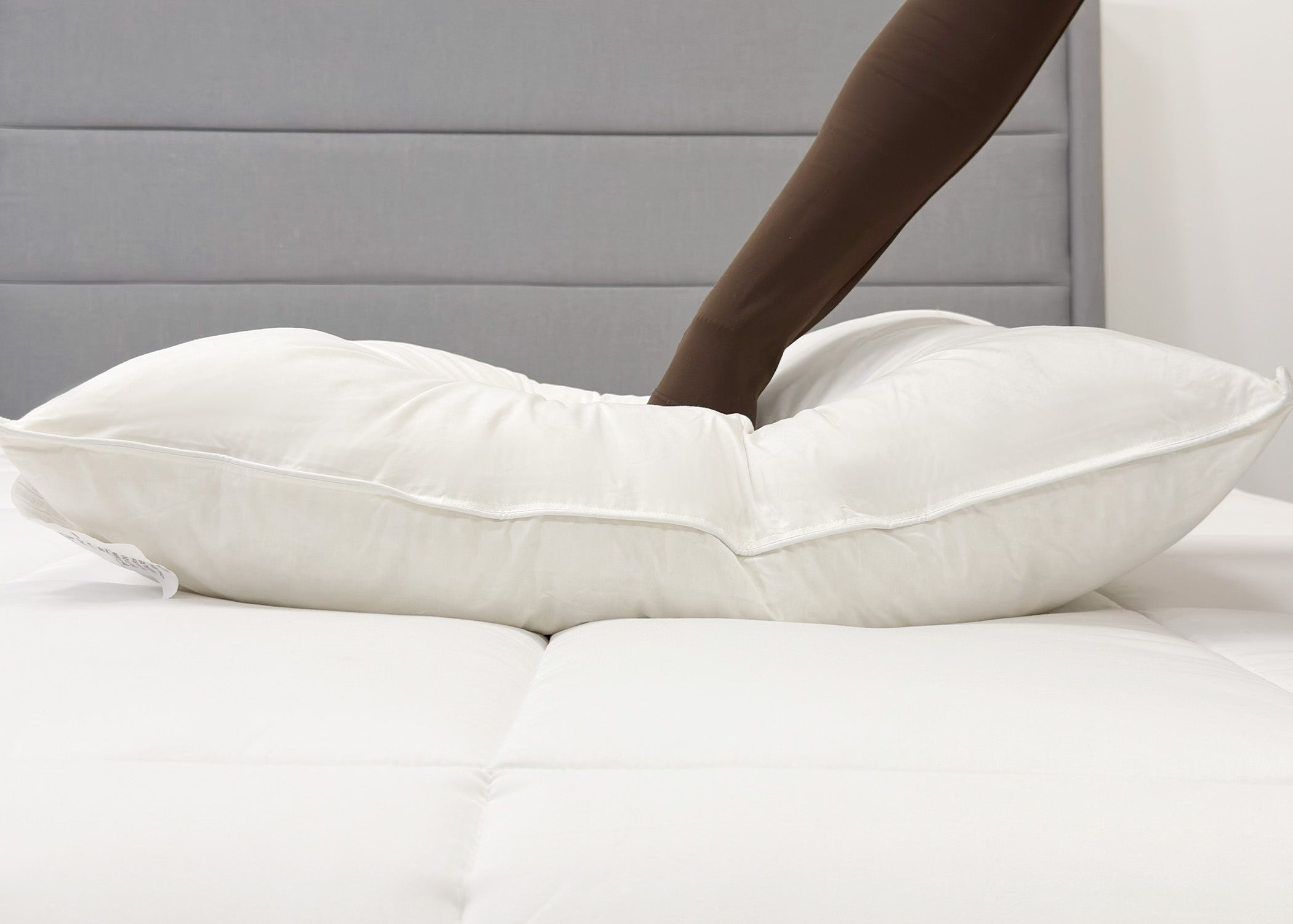 Pillowtex Weiße Entendaunen & Feder Kissen | 95% Federn / 5% Down