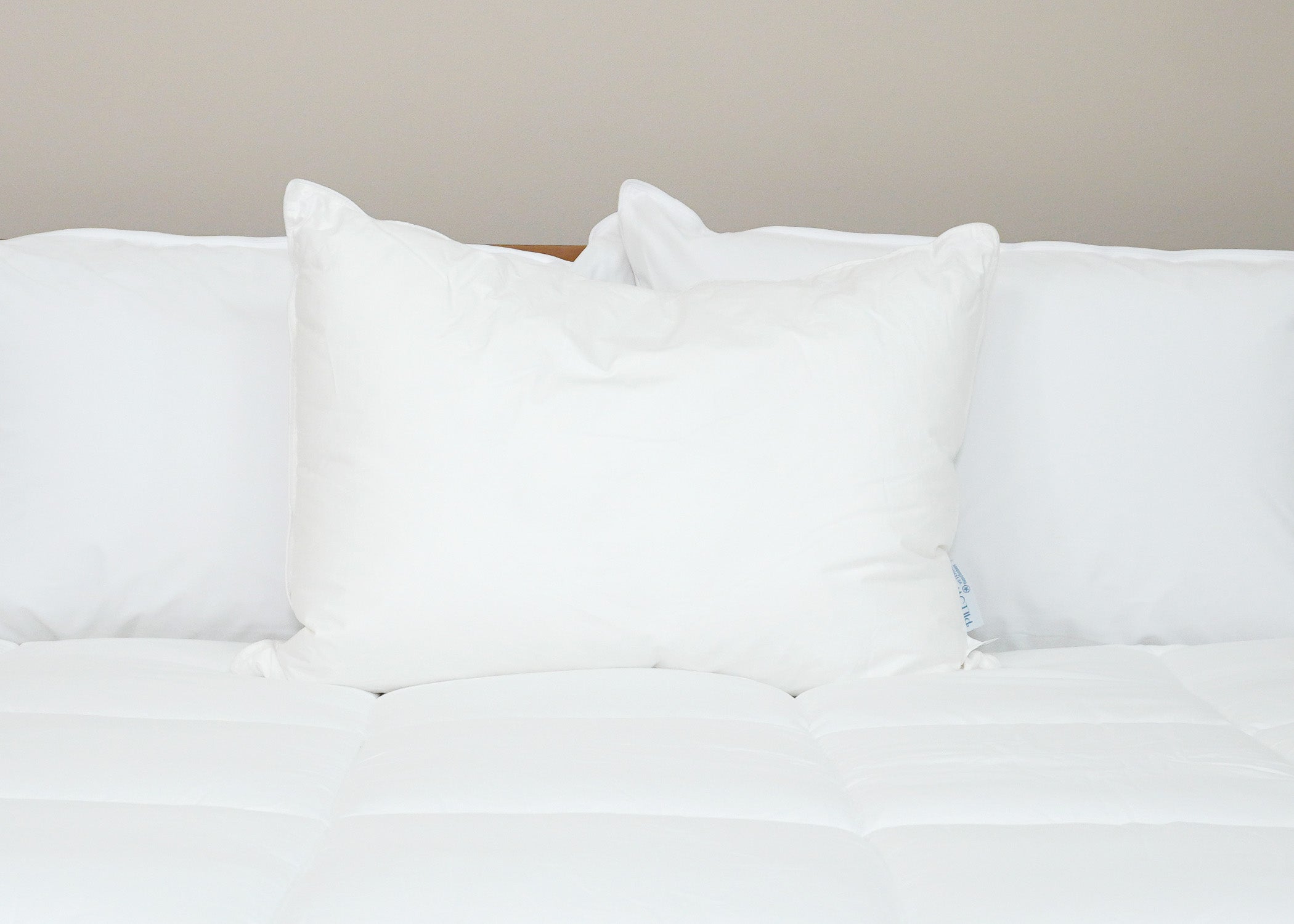 Pillowtex Kyoto Pillow - Half Buckwheat Half Polyester Pillow - Japanischer Stil Pillow