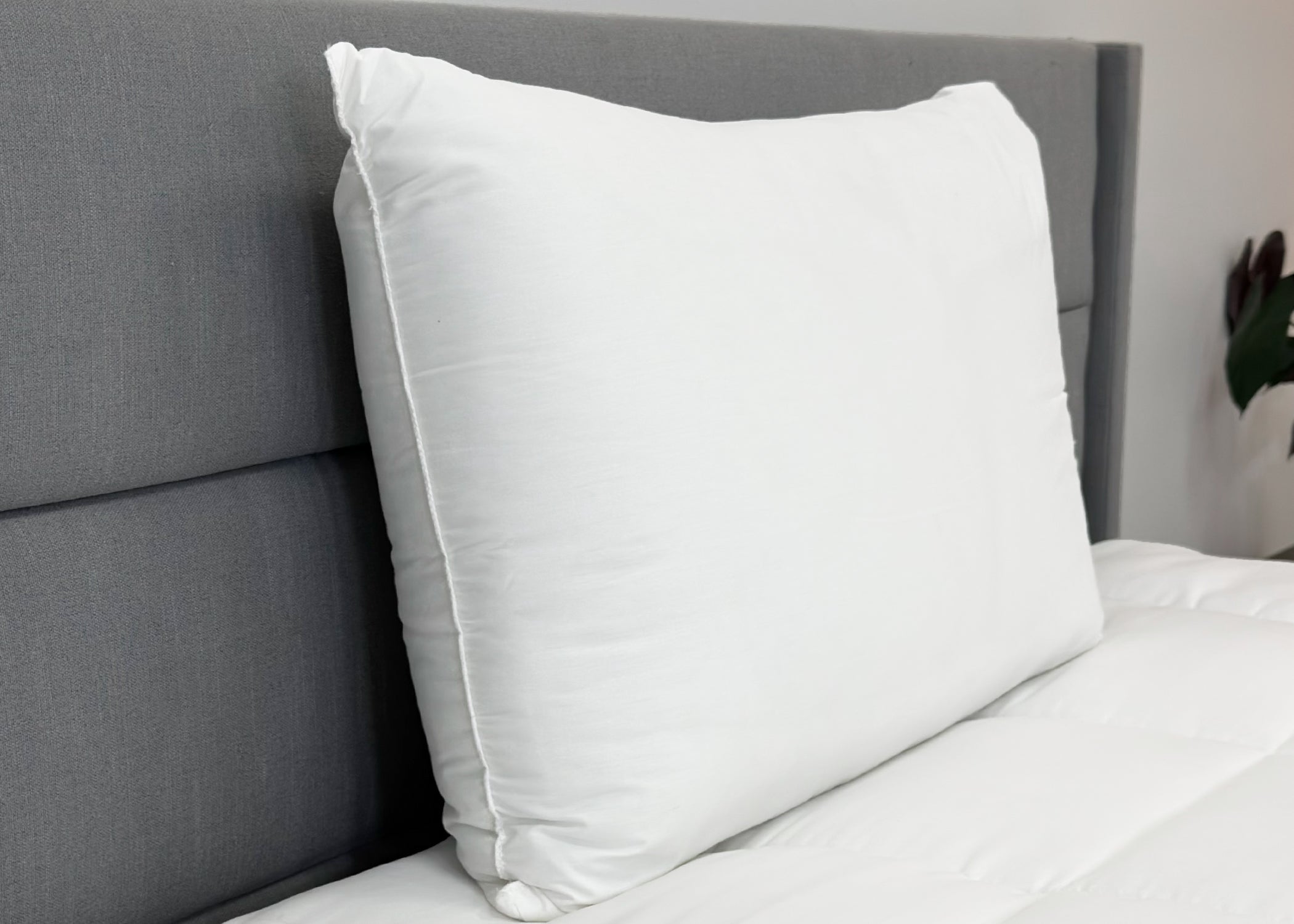 Envirosleep Dream Support Kissen
