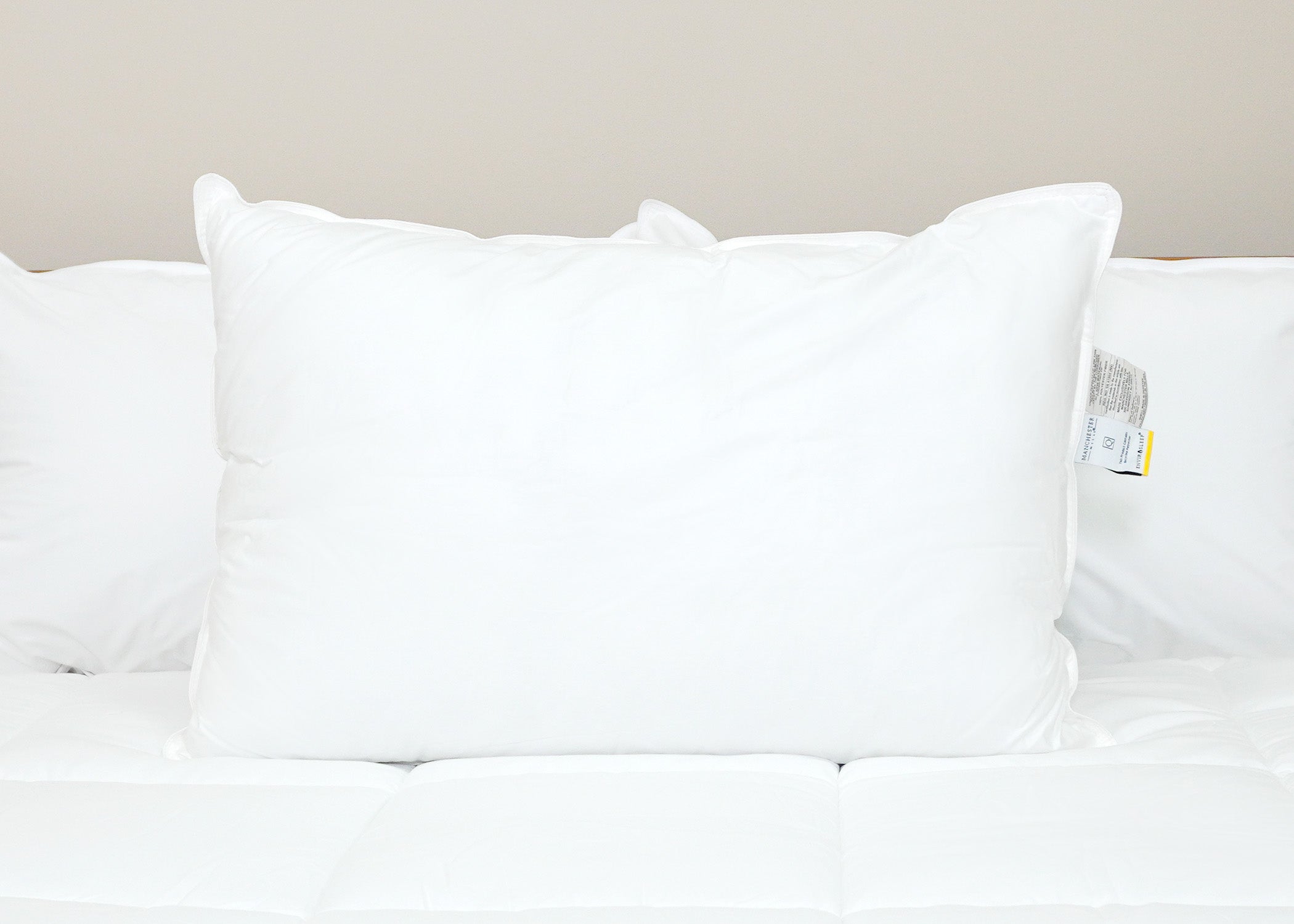 Dream Escape Down Alternative Pillow Früher Dream Essence