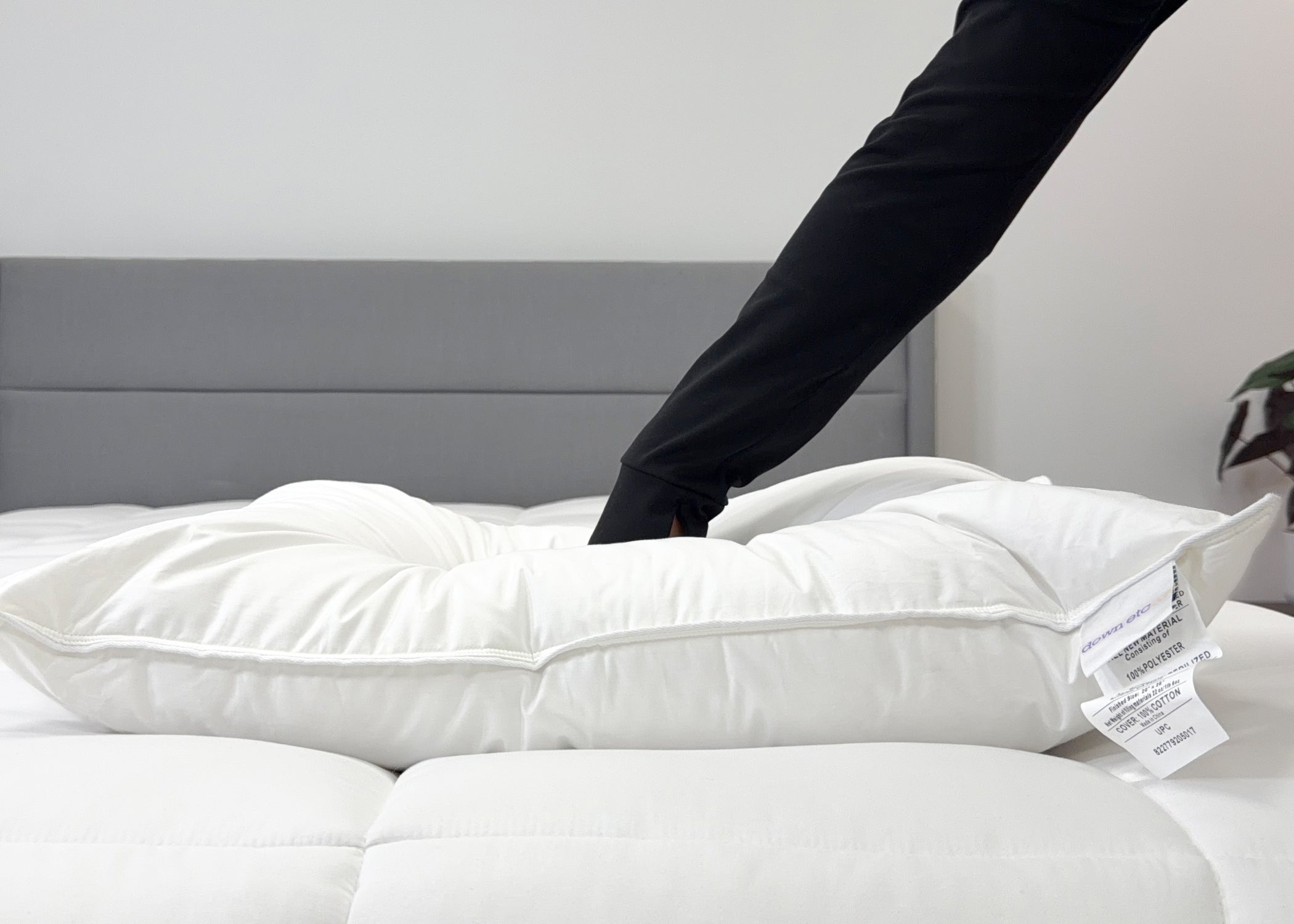 Down Etc. Fairfax Firm Polyester Pillow