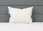 Pillowtex Weiße Entendaunen & Feder Kissen | 95% Federn / 5% Down