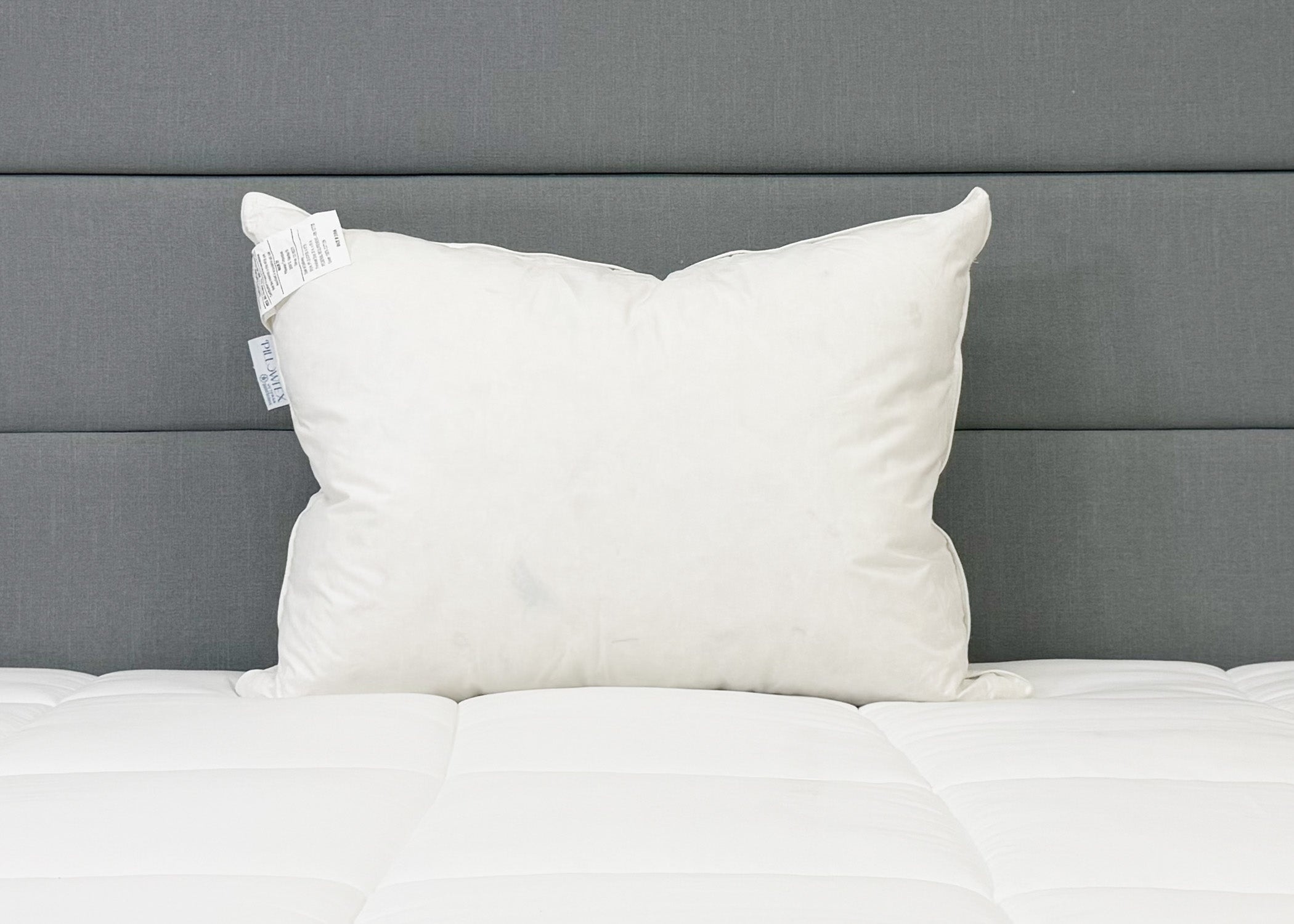 Pillowtex Weiße Entendaunen & Feder Kissen | 95% Federn / 5% Down
