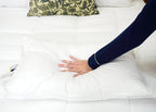 Dream Escape Down Alternative Pillow Früher Dream Essence