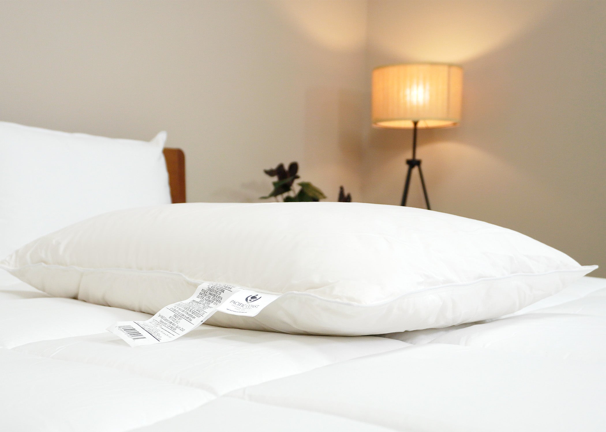 Pacific Coast Federn Tria Down & Federn Pillow - Ausgestellt in vielen Ritz-Carlton® Hotels