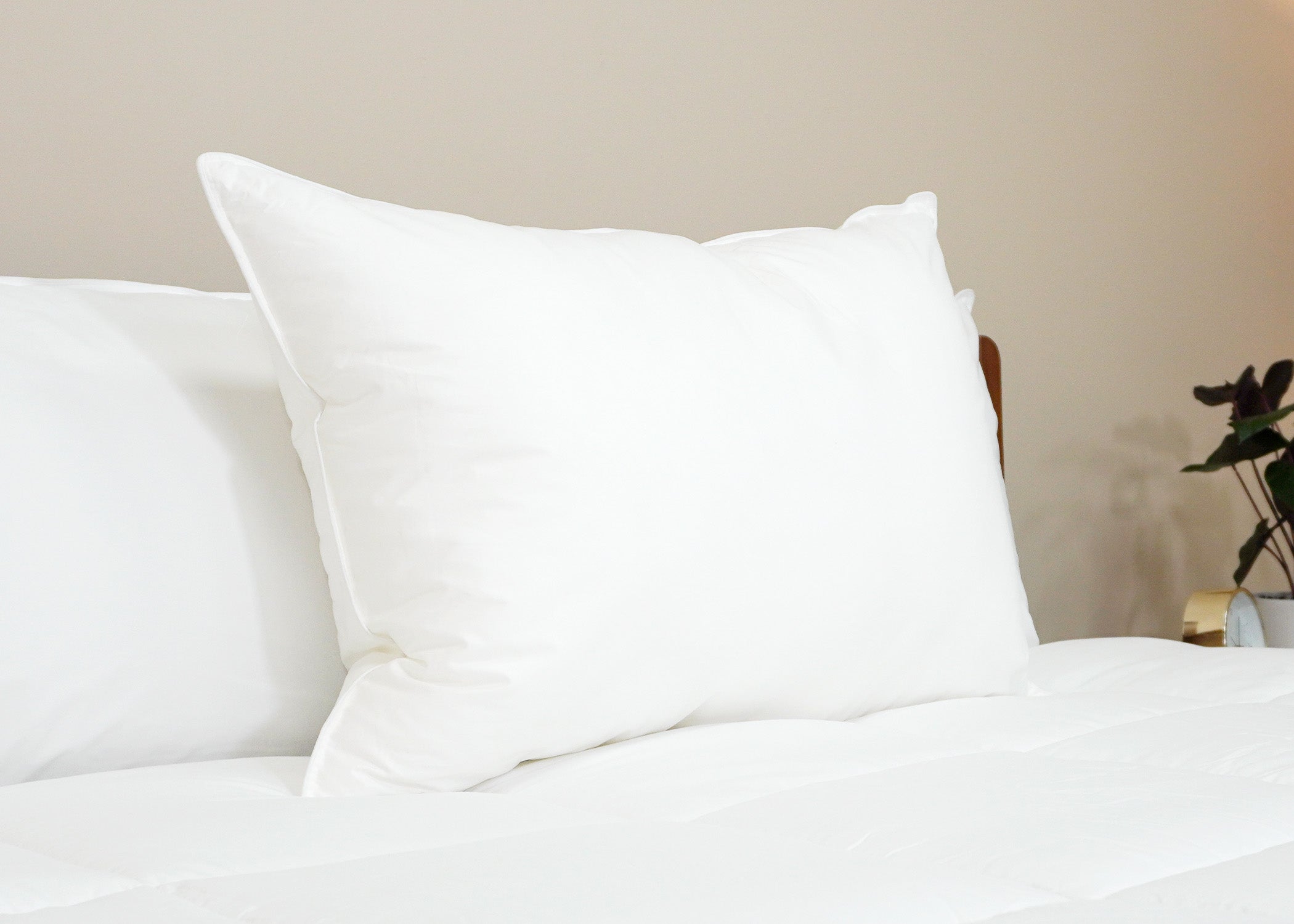 Pillowtex Premium Polyester Pillow | Unternehmen