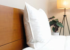 Pacific Coast® Naturfeder Kissen