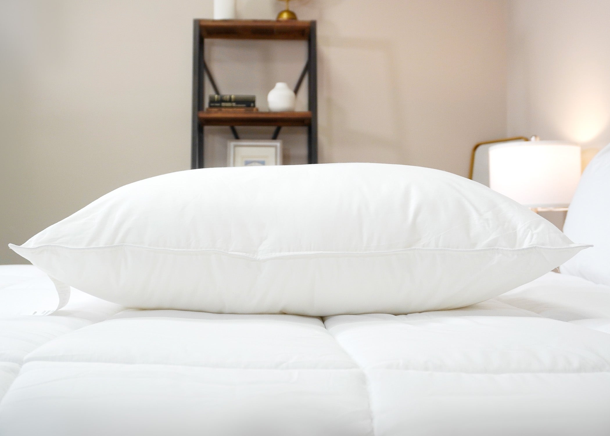 Pillowtex Premium Polyester Pillow | Unternehmen