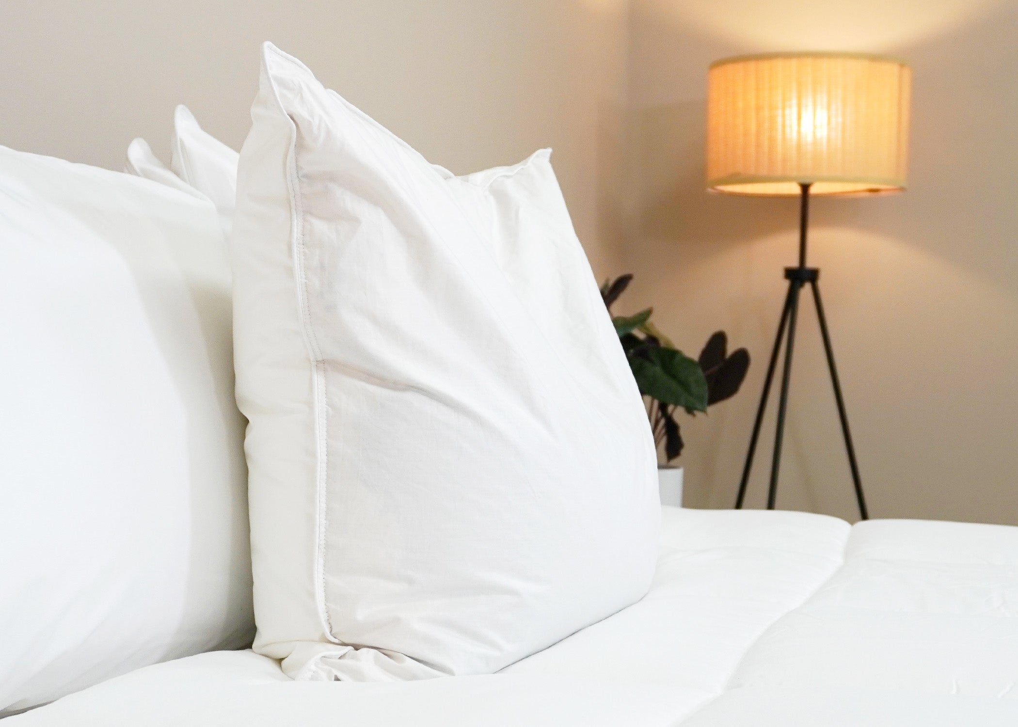 Pillowtex Kyoto Pillow - Half Buckwheat Half Polyester Pillow - Japanischer Stil Pillow