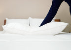 Pillowtex Premium Polyester Pillow | Unternehmen