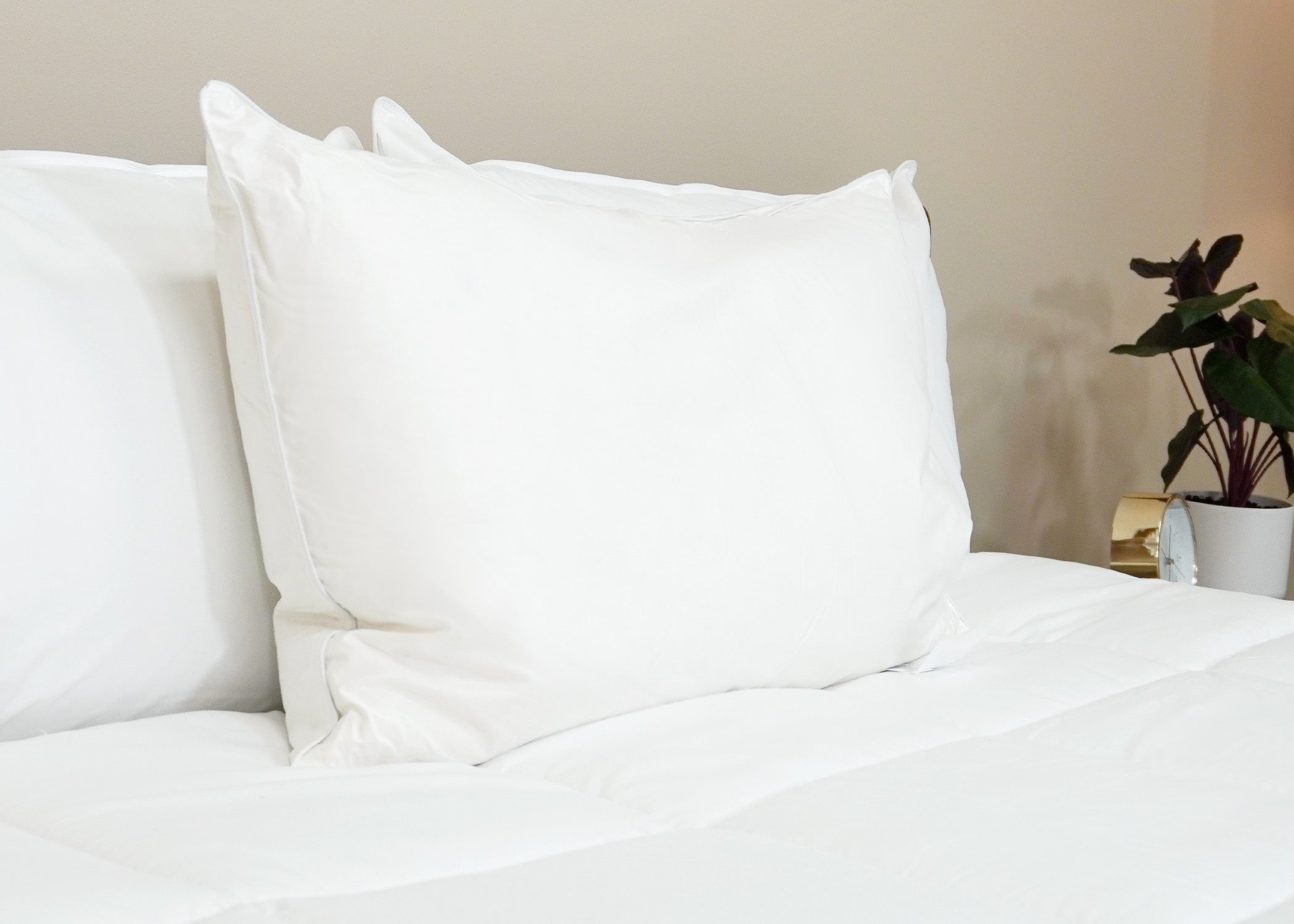 Pacific Coast Federn Tria Down & Federn Pillow - Ausgestellt in vielen Ritz-Carlton® Hotels
