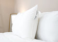 Pillowtex Premium Polyester Pillow | Unternehmen