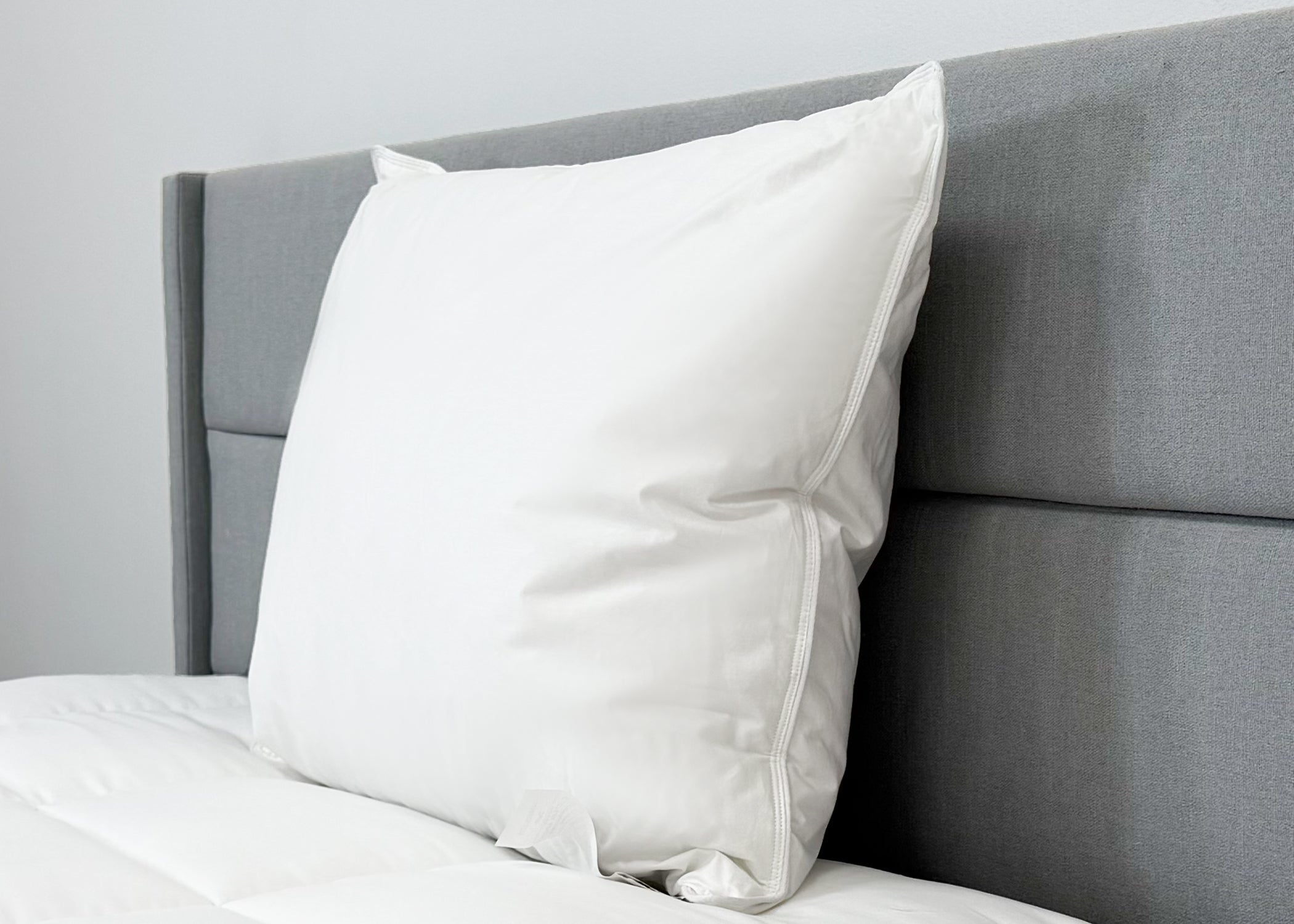 Down Etc. Fairfax Firm Polyester Pillow