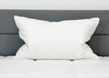 Down Etc. 50% Weiß Goose Down / 50% Weiß Goose Federn Pillow