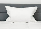 Down Etc. 50% Weiß Goose Down / 50% Weiß Goose Federn Pillow