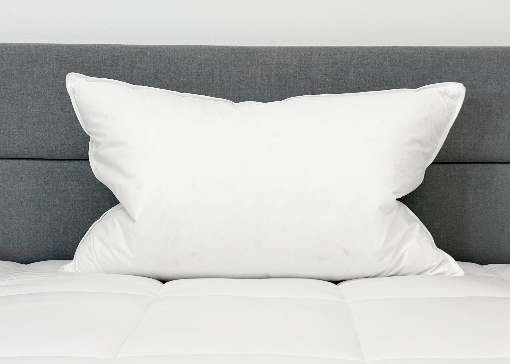 Down Etc. 50% Weiß Goose Down / 50% Weiß Goose Federn Pillow
