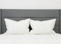 Pillowtex Conformity Pillow | Soft Support