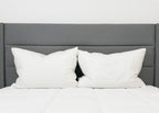 Pillowtex Conformity Pillow | Soft Support