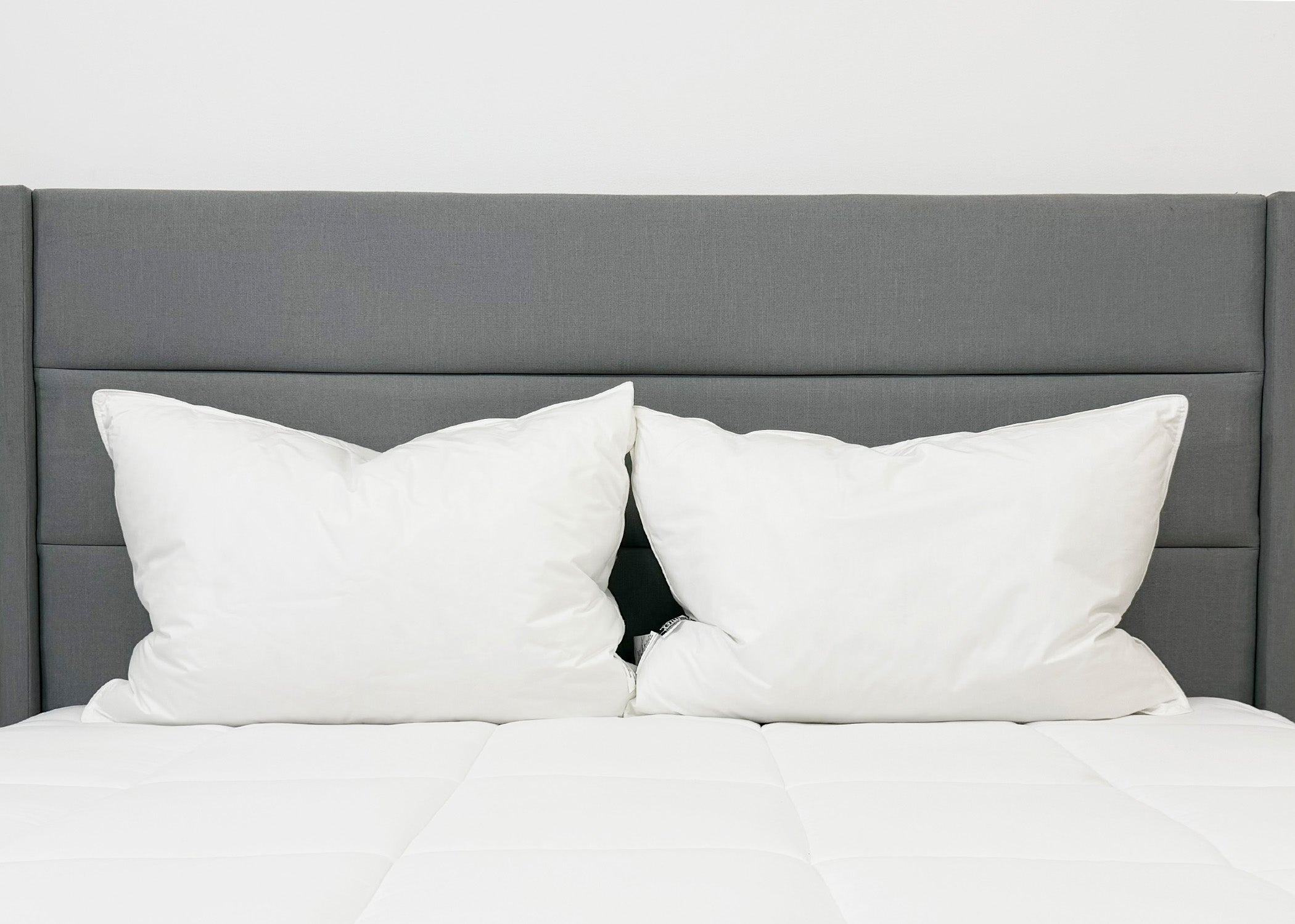 Pillowtex Conformity Pillow | Soft Support