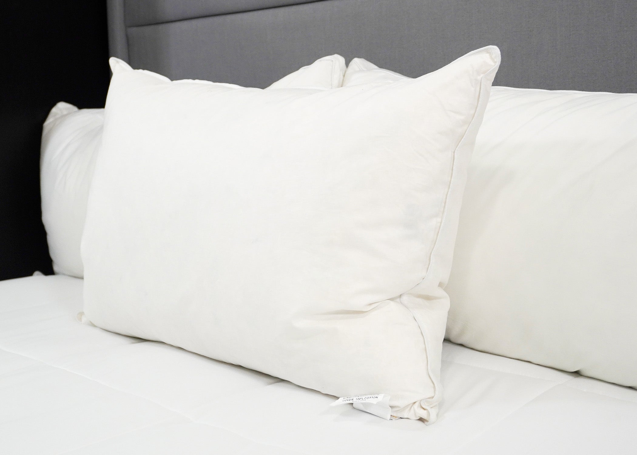 Down usw. 25% Weiß Goose Down / 75% Weiß Goose Federn Pillow