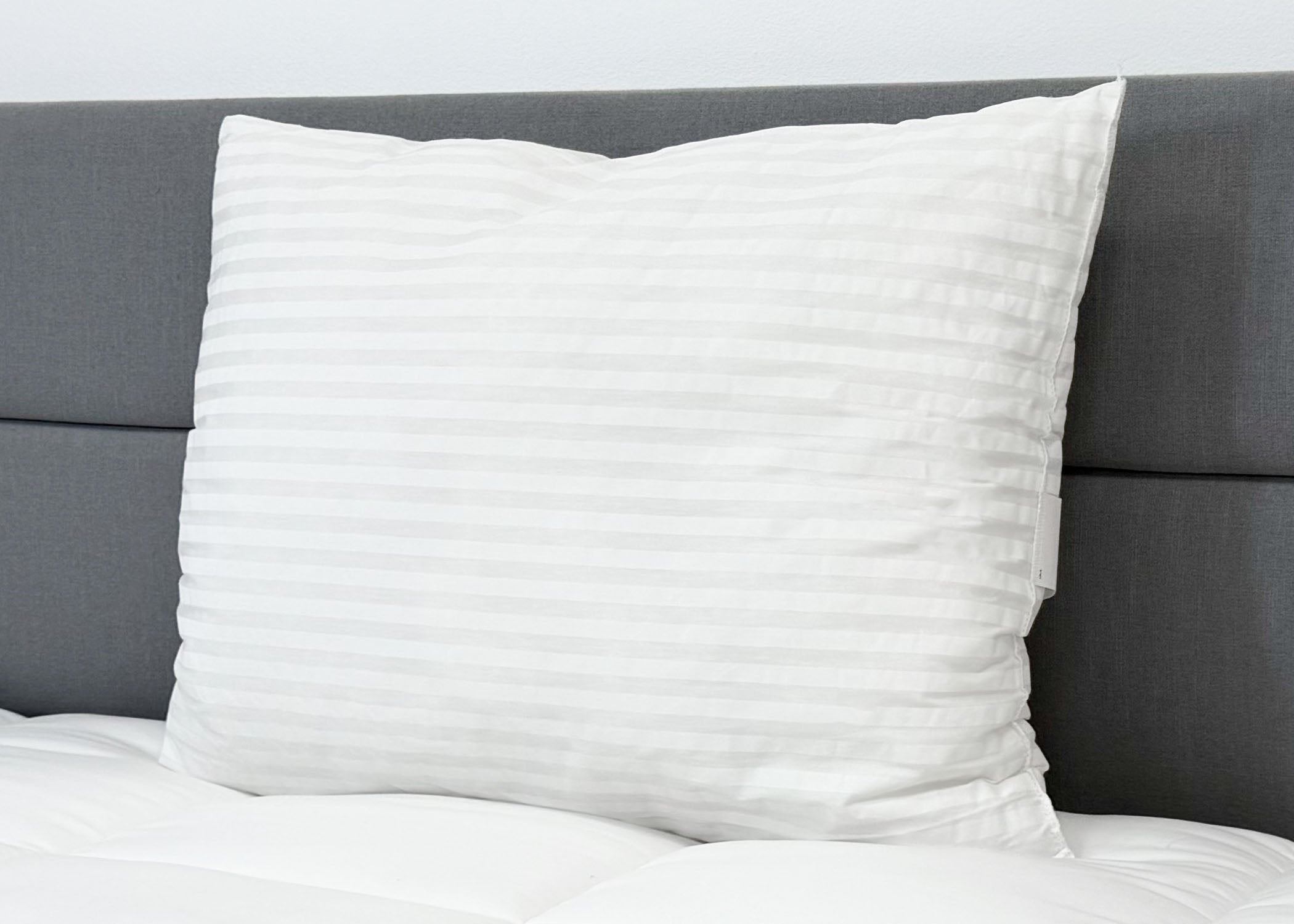Pillow Factory Comforel Pillow, ausgestellt in Sheraton Hotels