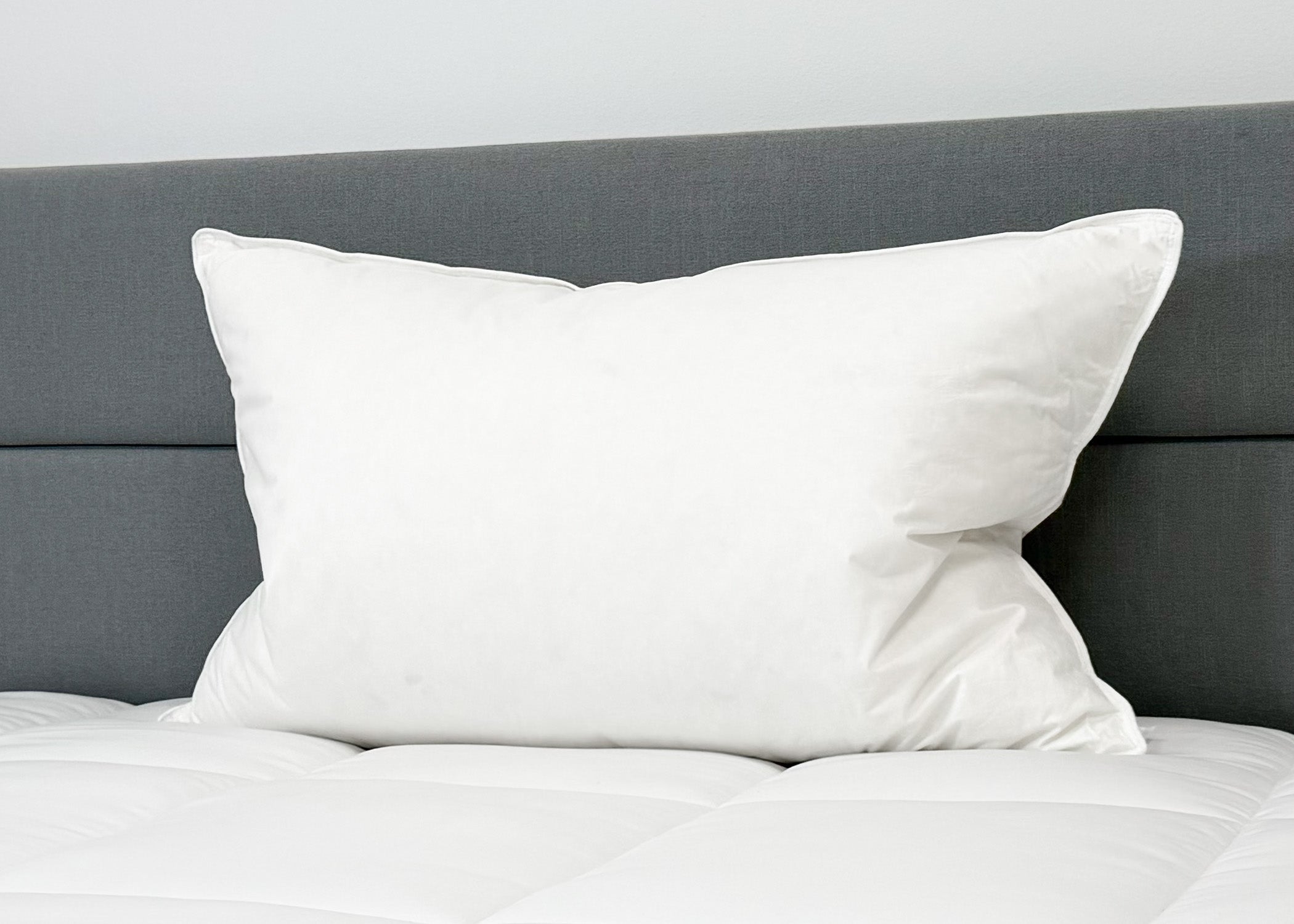 Down Etc. 50% Weiß Goose Down / 50% Weiß Goose Federn Pillow